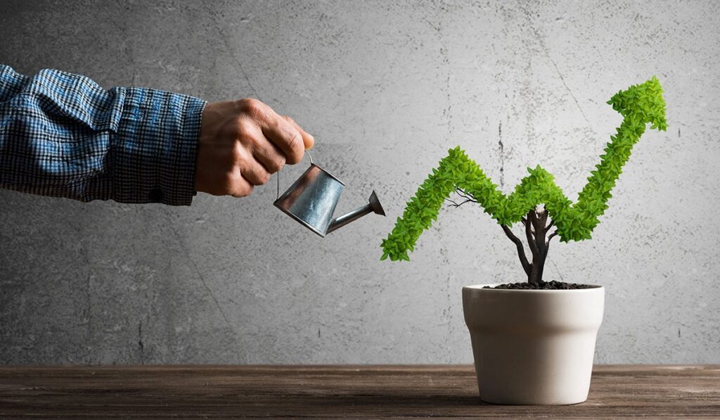 A hand watering a potted plant shaped like an upward arrow, symbolizing business growth with a digital marketing partner for small business